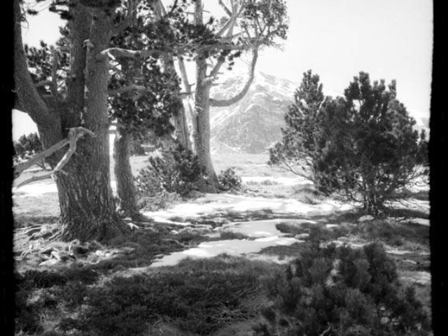 Vall del Madriu-Perafita-Claror, pic de Port Negre al fons