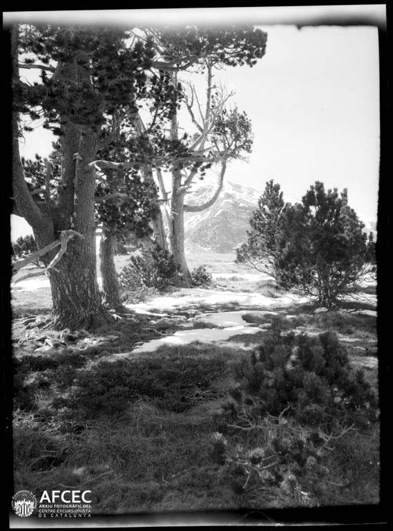Vall del Madriu-Perafita-Claror, pic de Port Negre al fons