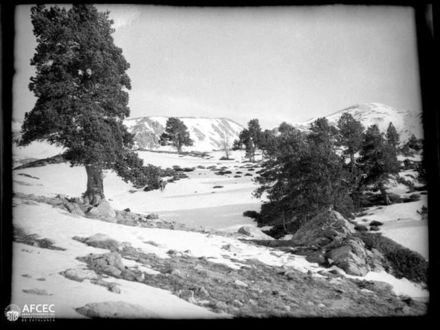 Vall del Madriu-Perafita-Claror, pic de Port Negre al fons (2)