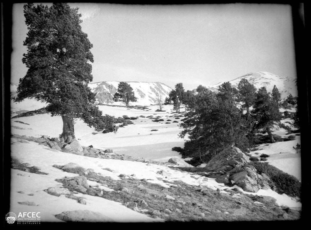 Vall del Madriu-Perafita-Claror, pic de Port Negre al fons (2)