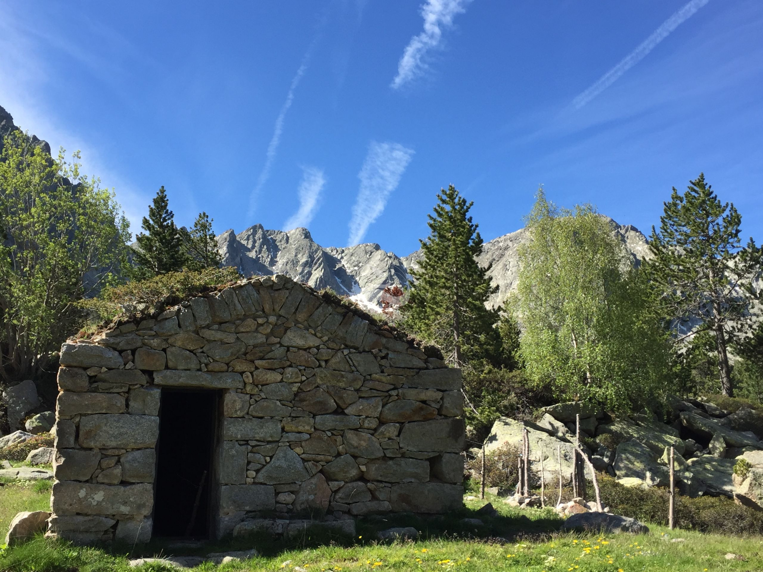 Barracota_1 (SS)