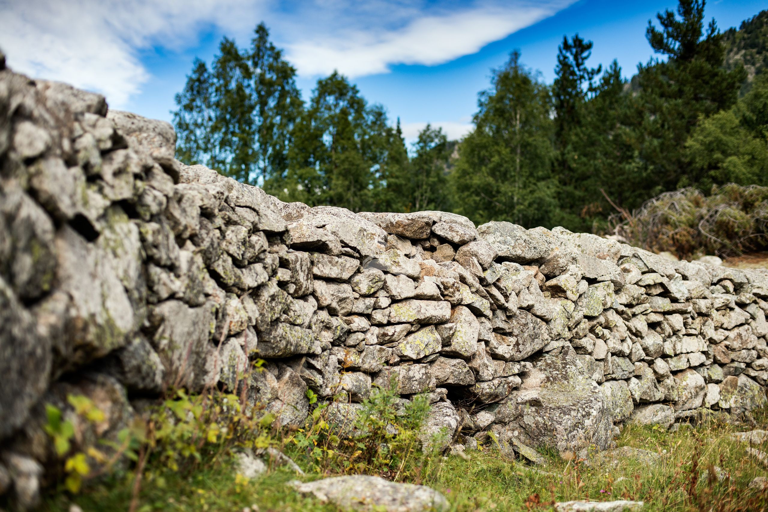 VMPC_pedra_seca_Fontverd_estiu